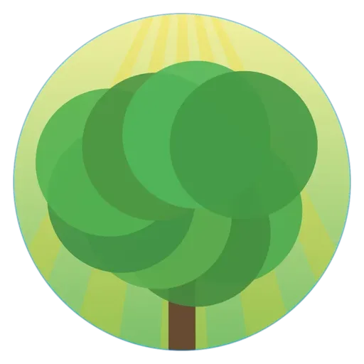 The forest visual: a tree canopy in a circle